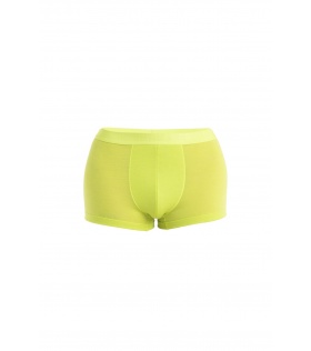 Мерино Бельо Icebreaker Anatomica Cool-Lite Trunks M's Summer 2024
