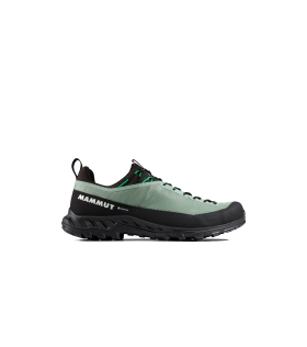 Обувки Mammut Alnasca IV Low GTX Men