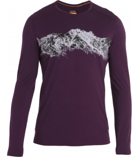 Блуза Icebreaker M's 200 Oasis LS Crewe Thermal Top Remarkables Winter 2024