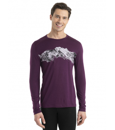 Блуза Icebreaker M's 200 Oasis LS Crewe Thermal Top Remarkables Winter 2024