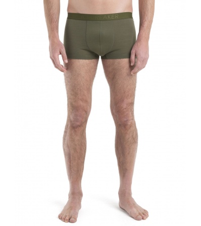 Мерино Бельо Icebreaker Anatomica Cool-Lite Trunks M's Summer 2024