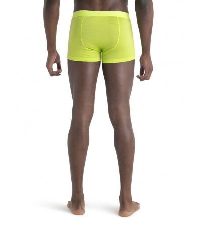 Мерино Бельо Icebreaker Anatomica Cool-Lite Trunks M's Summer 2024