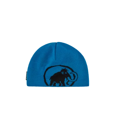 Шапка Mammut Tweak Beanie Winter 2025