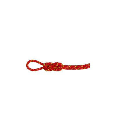 Въже Mammut 8.0 Alpine Core Protect Dry Rope 50m Winter 2025