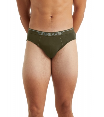 Слипове Icebreaker Merino 150 Anatomica Briefs M's Summer 2025