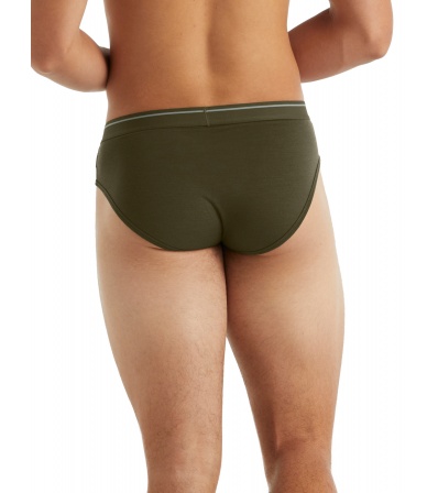 Слипове Icebreaker Merino 150 Anatomica Briefs M's Summer 2025