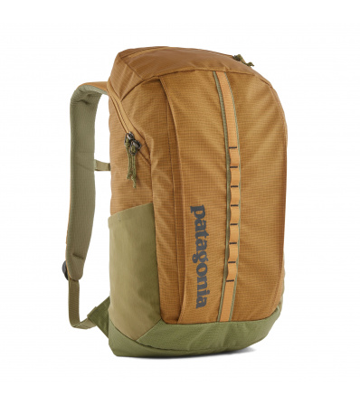 Раница Patagonia Black Hole Pack 25L Summer 2024