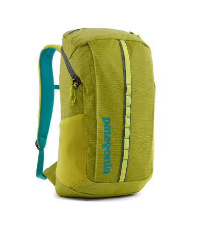 Patagonia Black Hole Pack 25L Summer 2024