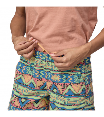 Шорти Patagonia Baggies 5