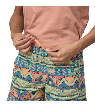 Patagonia Baggies 5