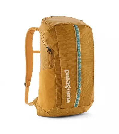 Раница Patagonia Black Hole Pack 25L Summer 2025