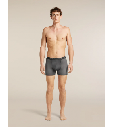 Icebreaker Merino 150 Anatomica Boxers Transitions