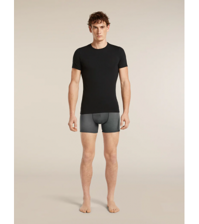 Icebreaker Merino 150 Anatomica Boxers Transitions