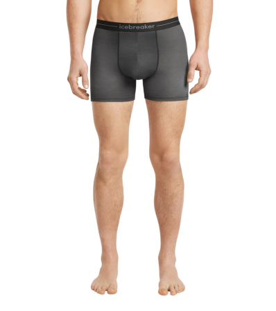 Icebreaker Merino 150 Anatomica Boxers Transitions