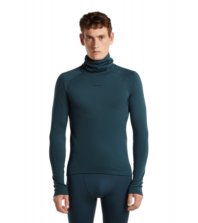 Мерино Блуза Icebreaker 300 MerinoFine Polar Long Sleeve Roll Neck M's