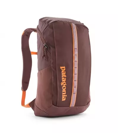 Раница Patagonia Black Hole Pack 25L Summer 2025