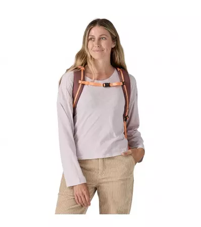 Раница Patagonia Black Hole Pack 25L Summer 2025