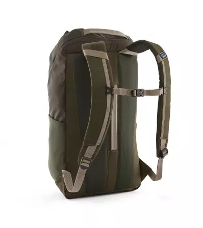 Раница Patagonia Black Hole Pack 25L Summer 2025
