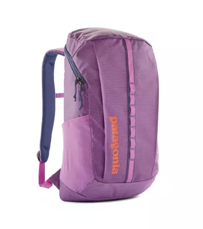Раница Patagonia Black Hole Pack 25L Summer 2025