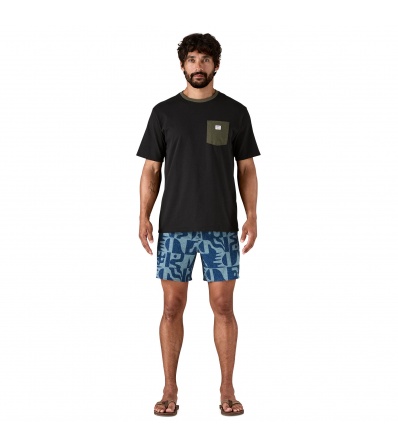 Шорти Patagonia Hydropeak Volley Shorts 16