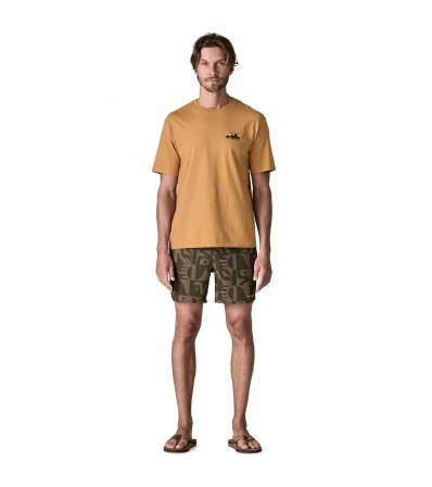 Шорти Patagonia Hydropeak Volley Shorts 16