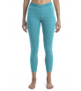 Клин Icebreaker W's 260 Vertex Thermal Leggings Herenga Winter 2024