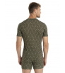 Блуза Icebreaker M's Merino 150 Anatomica Short Sleeve T-Shirt First Snow Winter 2024