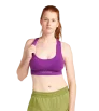 Icebreaker Merino Blend 260 ZoneKnit Seamless Bra
