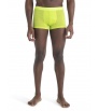 Мерино Бельо Icebreaker Anatomica Cool-Lite Trunks M's Summer 2024