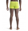 Мерино Бельо Icebreaker Anatomica Cool-Lite Trunks M's Summer 2024