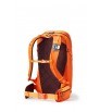 Раница Gregory Targhee FT 24L Summer 2025