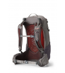 Раница Gregory Juno 30L W's Summer 2025