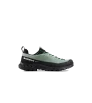 Обувки Mammut Alnasca IV Low GTX Men