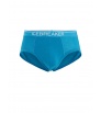 Слипове Icebreaker Merino 150 Anatomica Briefs M's Summer 2025