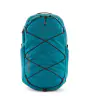 Раница Patagonia Refugio Daypack 30L Summer 2024