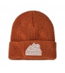 Детска Шапка Patagonia Kid's Logo Beanie Winter 2025