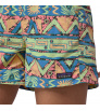 Шорти Patagonia Baggies 5