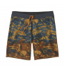 Шорти Patagonia Hydropeak Boardshorts 18
