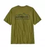 Patagonia Unity Fitz Responsibili-Tee M's Summer 2025