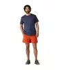 Patagonia Baggies 5