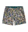 Шорти Patagonia Baggies 5