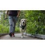 Нагръдник Ruffwear Front Range Harness