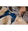 Нагръдник Ruffwear Front Range Harness