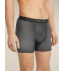 Icebreaker Merino 150 Anatomica Boxers Transitions