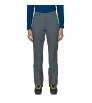 Панталон Patagonia Alpine Guide Pants Regular W's Winter 2024