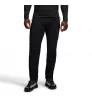 Панталони Black Diamond Alpine Light Pants M's