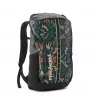 Patagonia Black Hole Pack 25L
