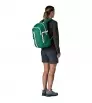 Patagonia Refugio Daypack 26L