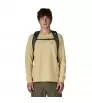Patagonia Refugio Daypack 30L