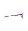 Rudy Glamshady Crystal Ash Gloss Multilaser Violet